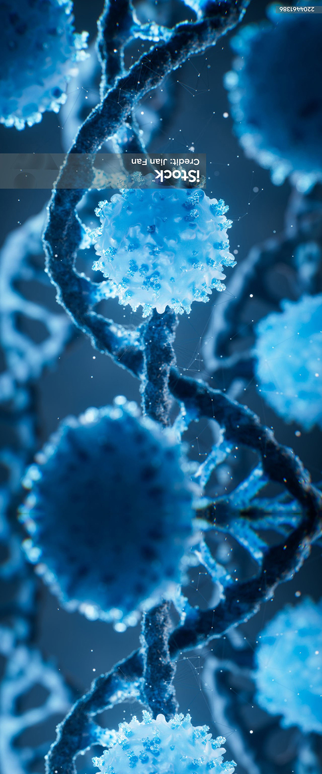 Lung Cancer Vaccine inkt-LMN/CY