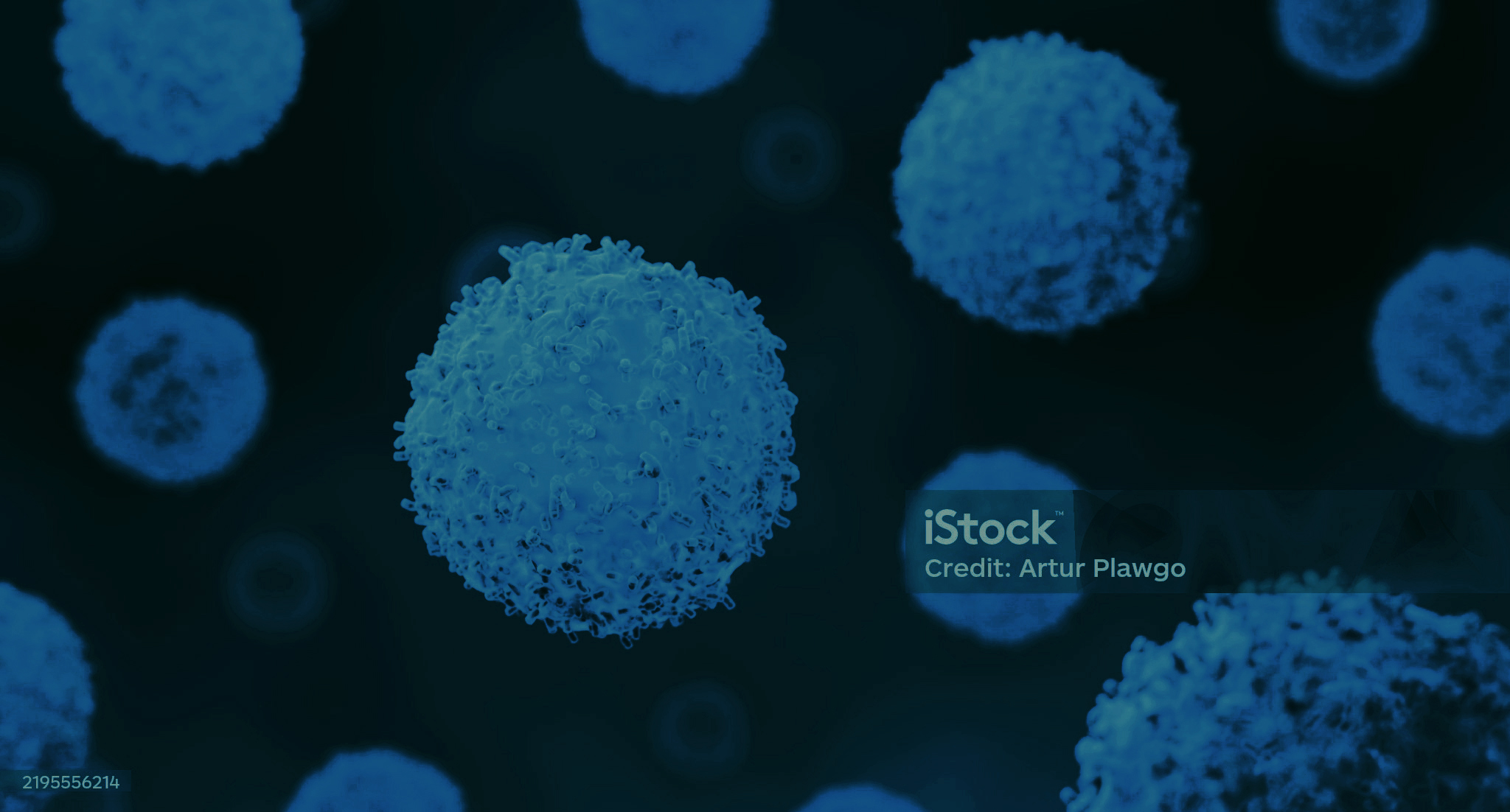 Our Company Background